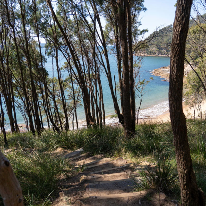 Pittwater Cruising