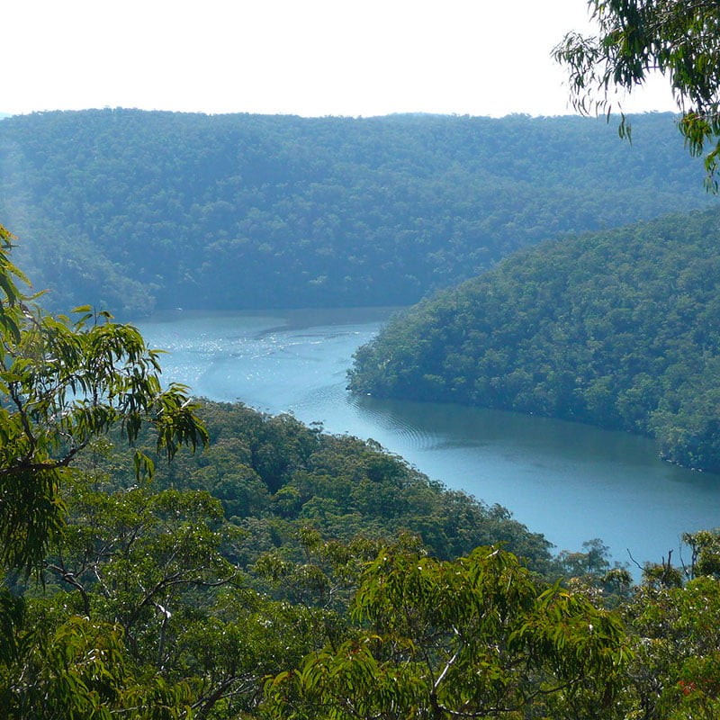 Pittwater Sailing