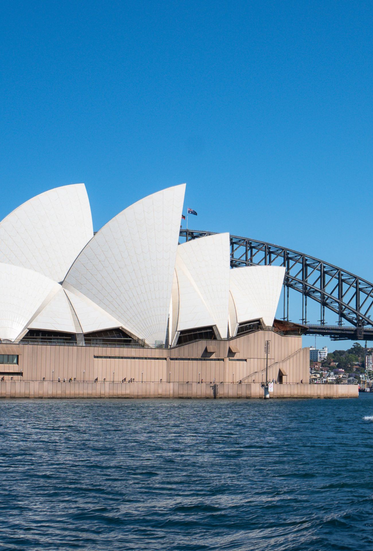 Axopar range darling harbour