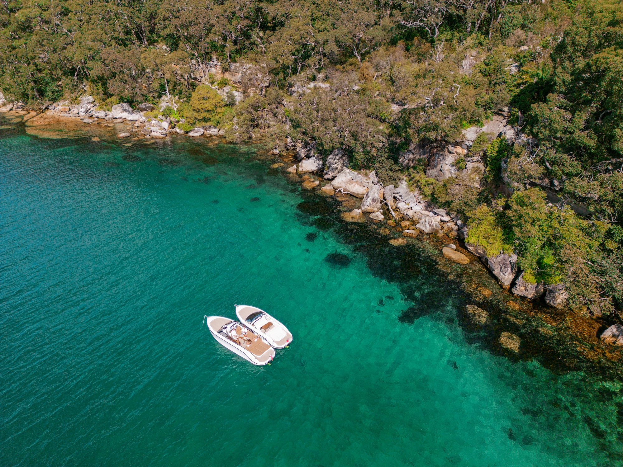 Farm Bay Sydney Harbour